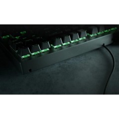 Razer Blackwidow V3 Tenkeyless